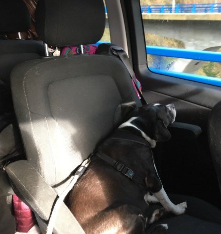 05F55FFC-8C4B-415D-B4B5-F36CEB9942E7