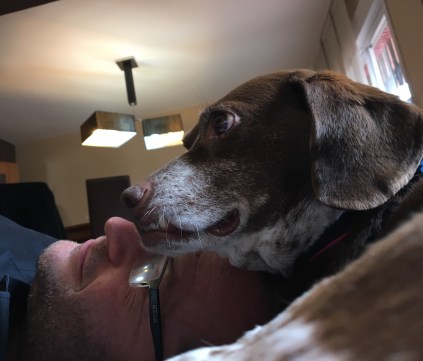 160C9D68-831A-4B9D-86D4-04B906884878