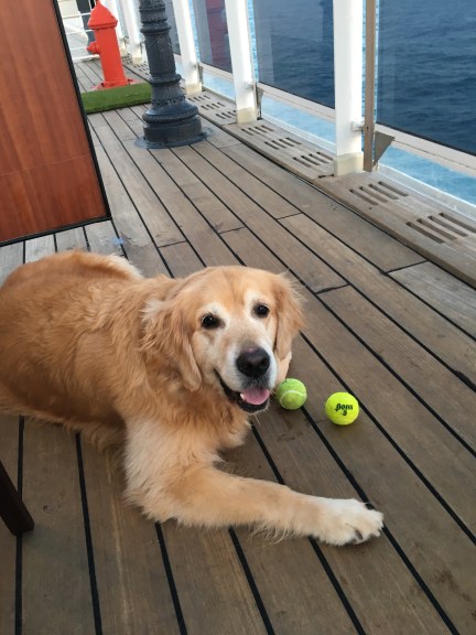 6CDD96F0-BED4-4833-9915-63462BF54C56