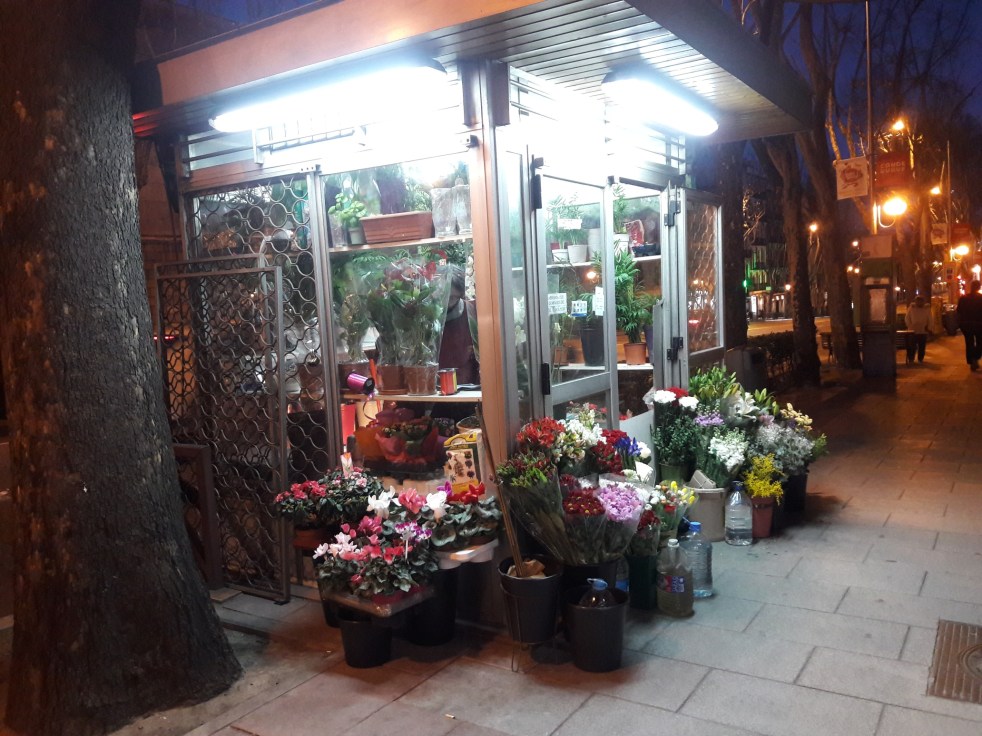 20180202_190340_resized